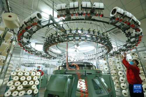 紡企訂單激增帶動即墨產業發展，網絡技術服務助力轉型升級