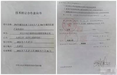 雨中筑夢，傘下花開——一場別開生面的畢業典禮與知識傳遞的華章